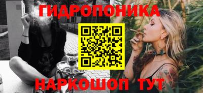 Альфа ПВП Аргун