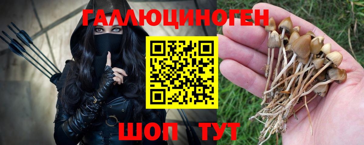 Псилоцибиновые грибы прущие грибы  Вход с VPN  Верхний Уфалей 