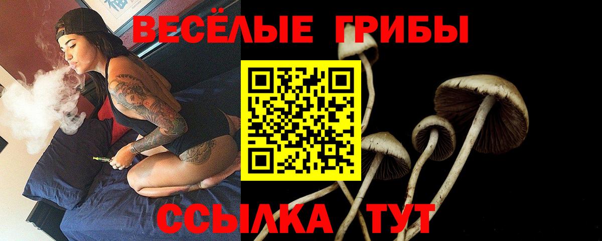 Псилоцибиновые грибы Psilocybine cubensis Верхний Уфалей